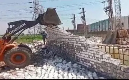 إزالة أكثر من 1000 حالة اعتداء على الأراضي الزراعية في حملة مكثفة تخدم الأمن الغذائي