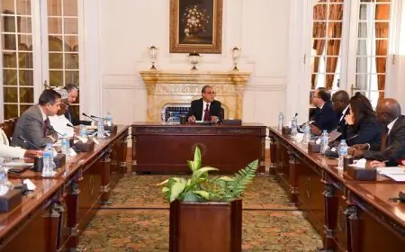 وزير الخارجية المصري يؤكد عمق تقدير بلاده للتعاون المثمر مع الاتحاد الأفريقي