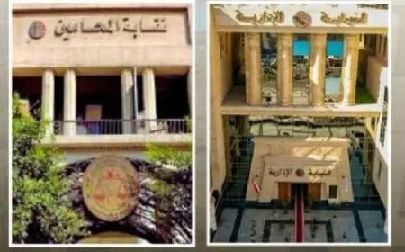 النيابة الإدارية تبدأ الإشراف على المرحلة الثانية من انتخابات نقابات المحامين الفرعية