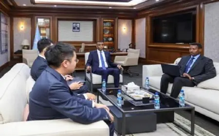 رئيس الوزراء الصومالي يشيد بدعم الصين الثابت لسيادة بلاده
