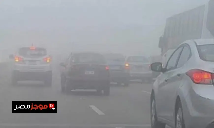 نصائح هامة للقيادة الآمنة في ظل الشبورة على الطرقات