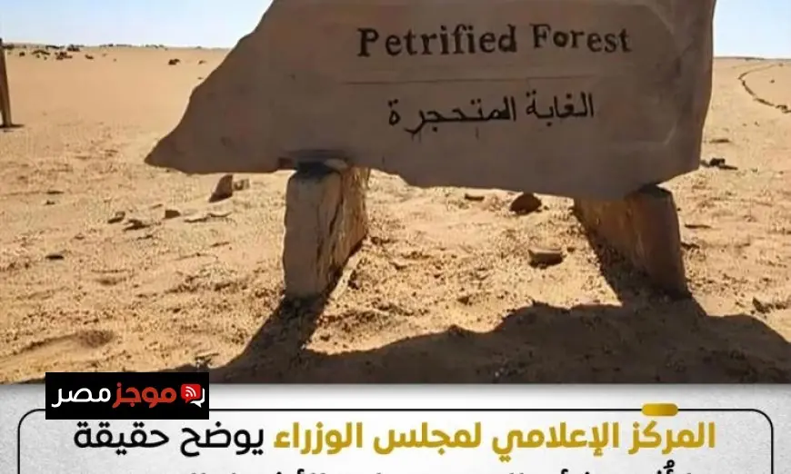 المركز الإعلامي للوزراء يكشف الحقيقة حول التعدي على الأشجار المتحجرة