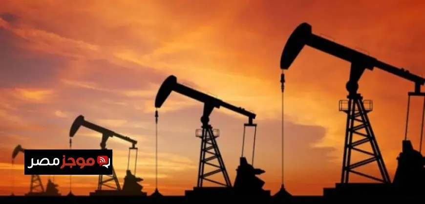 بيع سمكة تونة عملاقة في اليابان بسعر 3.2 مليون دولار