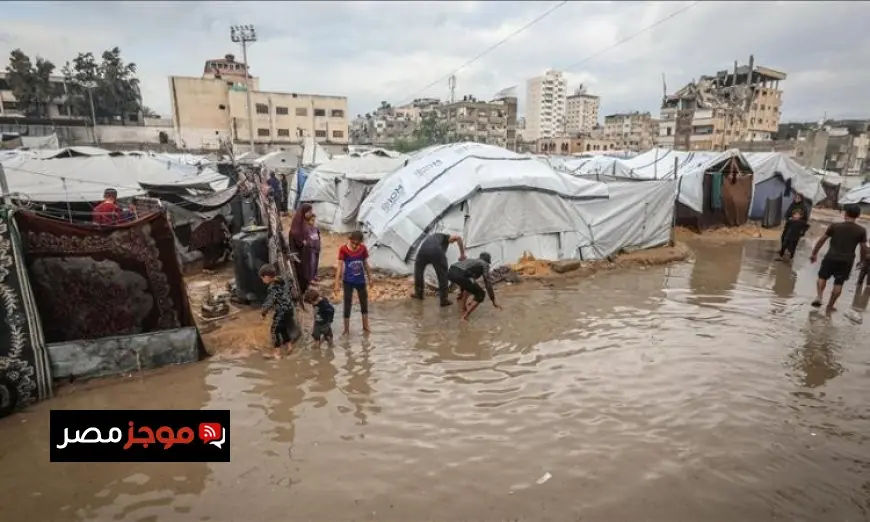 أكثر من مليون شخص في غزة يعانون من أزمة مأوى حادة وفق تقرير أوتشا