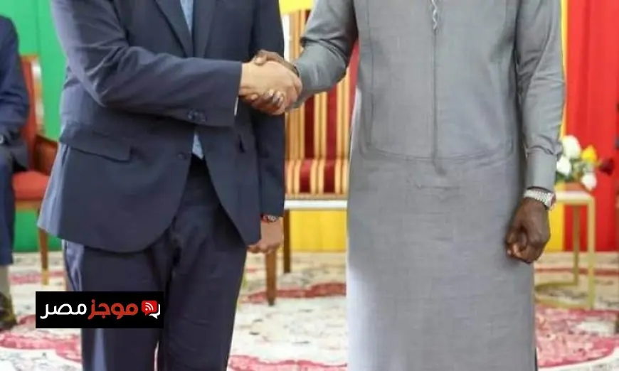 السفير المصري يناقش العلاقات الثنائية مع رئيس جمهورية السنغال