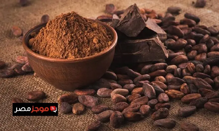 وزيرة التنمية المحلية تكشف عن بدء الموجة 28 لمكافحة التعديات على أراضي الدولة