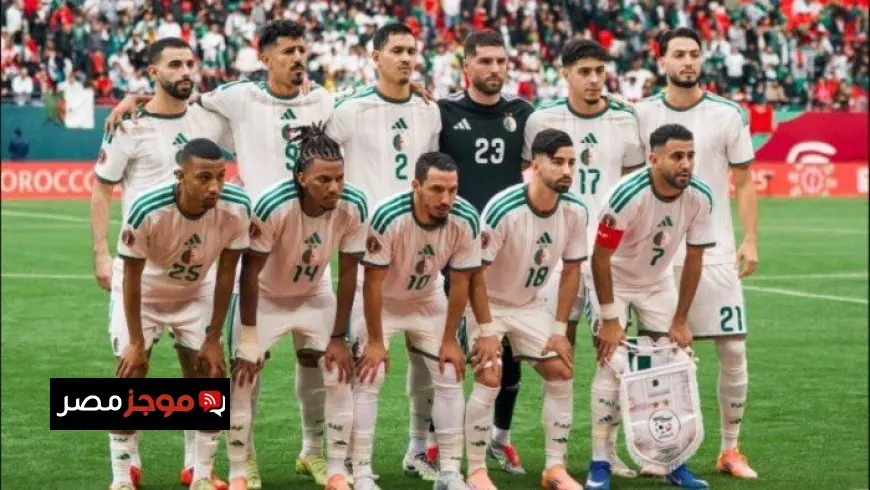 تاريخ مواجهات الجزائر ضد نيجيريا قبل اللقاء الحاسم في ربع نهائي أمم إفريقيا