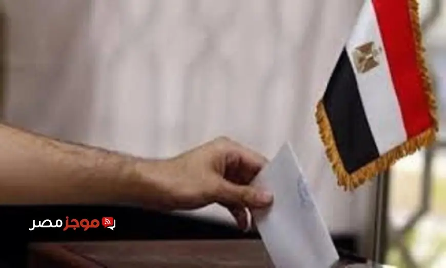 رئيس العربية لحقوق الإنسان يؤكد أن انتخابات النواب 2025 تمثل مثالاً رائعاً لترسيخ دولة القانون