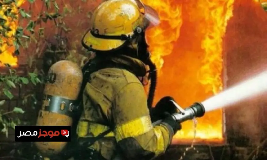 أستراليا تعلن حالة الطوارئ في الجنوب الشرقي بسبب حرائق الغابات المدمرة