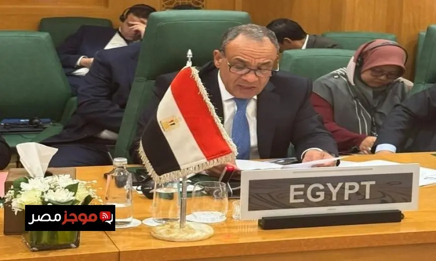 وزير الخارجية المصري يتحدث في الدورة الاستثنائية لمنظمة التعاون الإسلامي