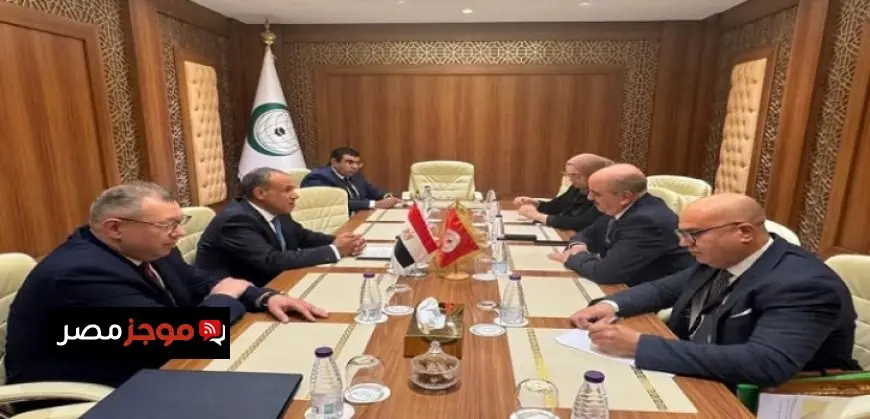 وزير الخارجية يؤكد حرصه على تعزيز العلاقات الثنائية مع تونس