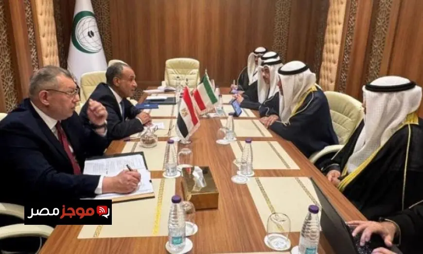 وزير الخارجية يبرز أهمية العلاقات الأخوية والتاريخية بين مصر والكويت