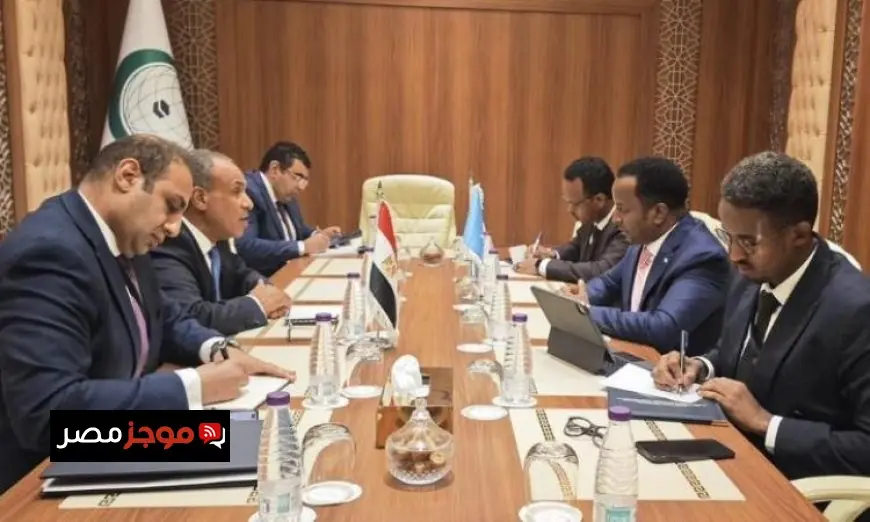 عبد العاطي يلتقي نظيره الصومالي لتعزيز وحدة وسيادة الصومال