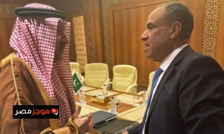 وزير الخارجية المصري يعلن استمرار التنسيق مع السعودية لتعزيز أمن واستقرار المنطقة