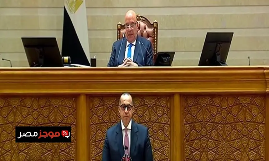 الدكتور عاصم الجزار والدكتور محمد الوحش يتألقان بفوزهما وكيليًا لمجلس النواب