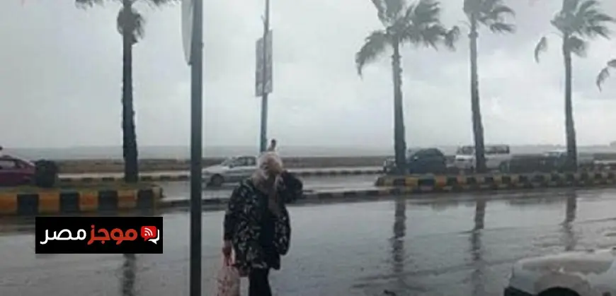 وزير الخارجية يؤكد رفض مصر القاطع للحلول العسكرية في الأزمات الإقليمية