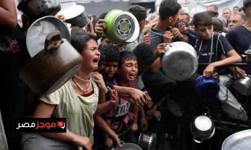 الأمم المتحدة تكشف عن قفزة في حالات سوء التغذية الحاد في غزة تصل إلى 95 ألف حالة