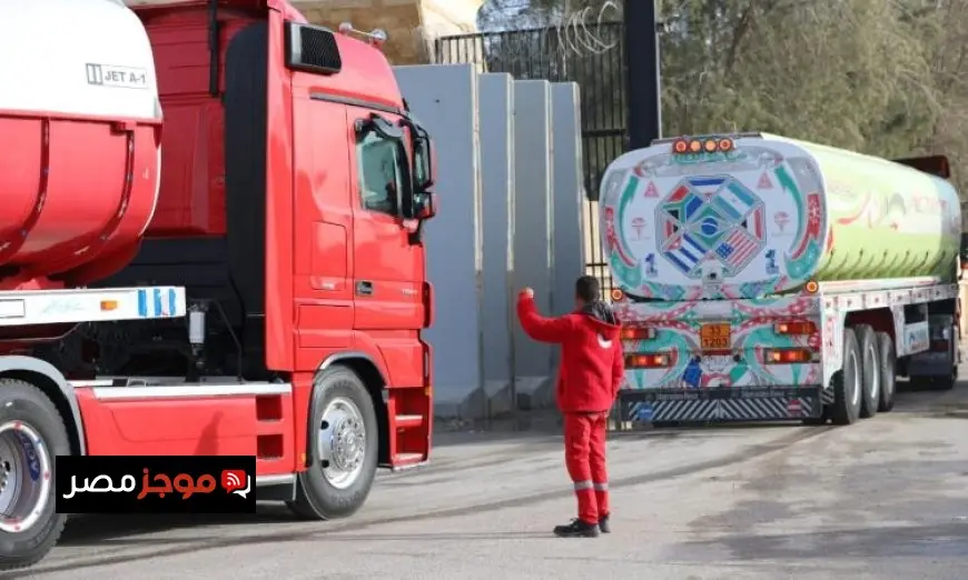 الهلال الأحمر يدعم غزة بسلال غذائية ومستلزمات شتوية من خلال قافلة زاد العزة 115