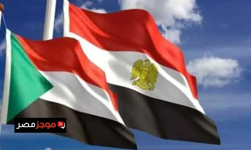 خبراء ودبلوماسيون يشيدون بمساهمة مصر الفعالة في تعزيز استقرار السودان