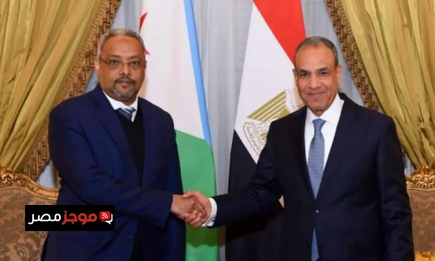 وزير الخارجية يناقش مع نظيره الجيبوتي آخر مستجدات الأوضاع في القرن الأفريقي