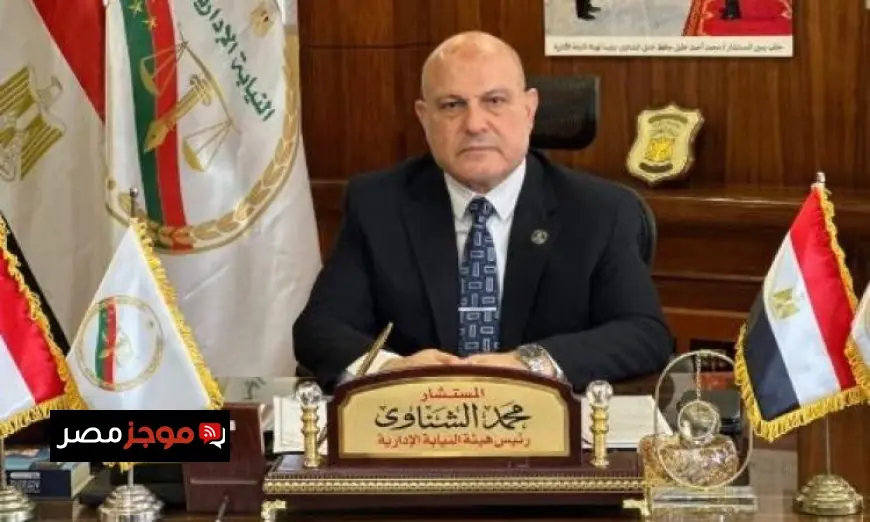 النيابة الإدارية تراقب انتخابات نقابات المحامين الفرعية غدا لضمان الشفافية والنزاهة