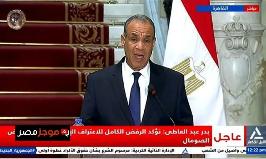 مؤتمر صحفي مباشر بين وزيري خارجية مصر والبوسنة والهرسك بث حي الآن