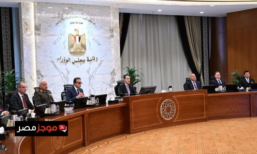 الوزراء يمنحون شركة ميدلوج ترخيص التوسع لميناء العاشر من رمضان الجاف