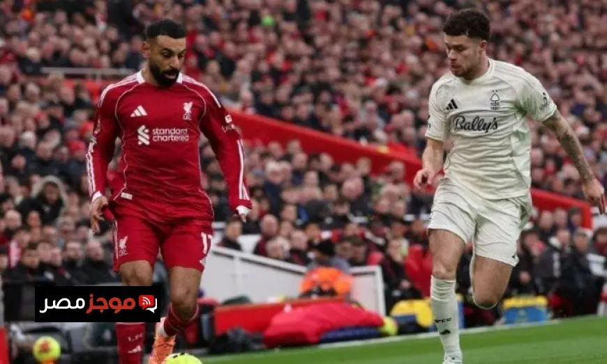 حضور ممتع لمباراة ليفربول ضد مارسيليا في دوري أبطال أوروبا اليوم