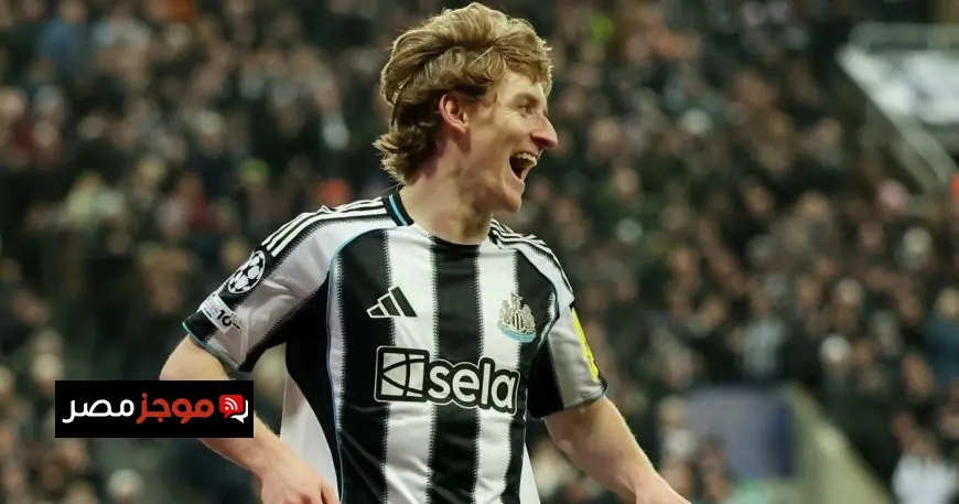 غوردون نجم نيوكاسل يحقق إنجازاً تاريخياً بمعادلته رقم شيرر في دوري أبطال أوروبا