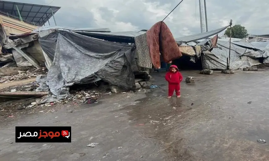 الأمم المتحدة تحذر من زيادة وفيات الرضع في غزة إلى 9 بسبب البرد القارس