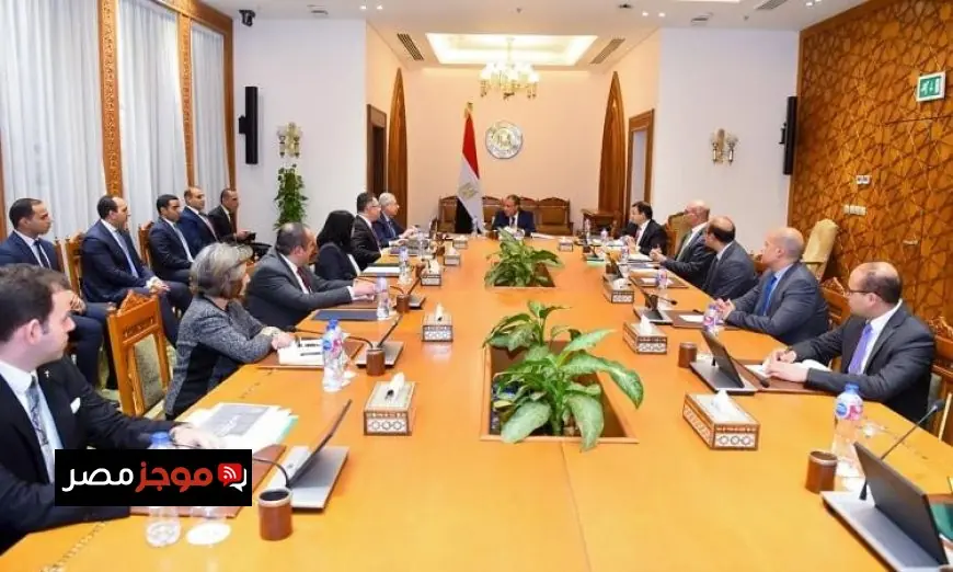 وزير الخارجية المصري يبرز أهمية الدائرة الإفريقية في السياسة الخارجية لمصر