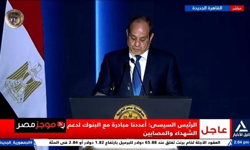 الرئيس السيسي يؤكد حديثه يهدف إلى حماية الدولة وليس حماية النظام أو نفسه
