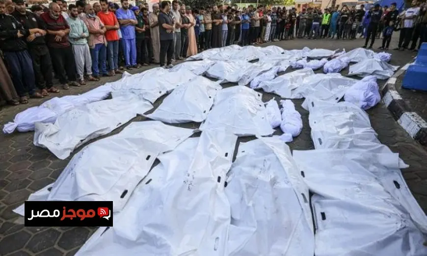 نقل رفات 50 شهيدا من مقبرة غير رسمية في مدينة غزة