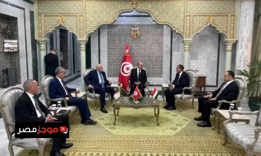 اجتماع ثلاثي بين وزراء خارجية مصر وتونس والجزائر يتوج ببيان مشترك قوي