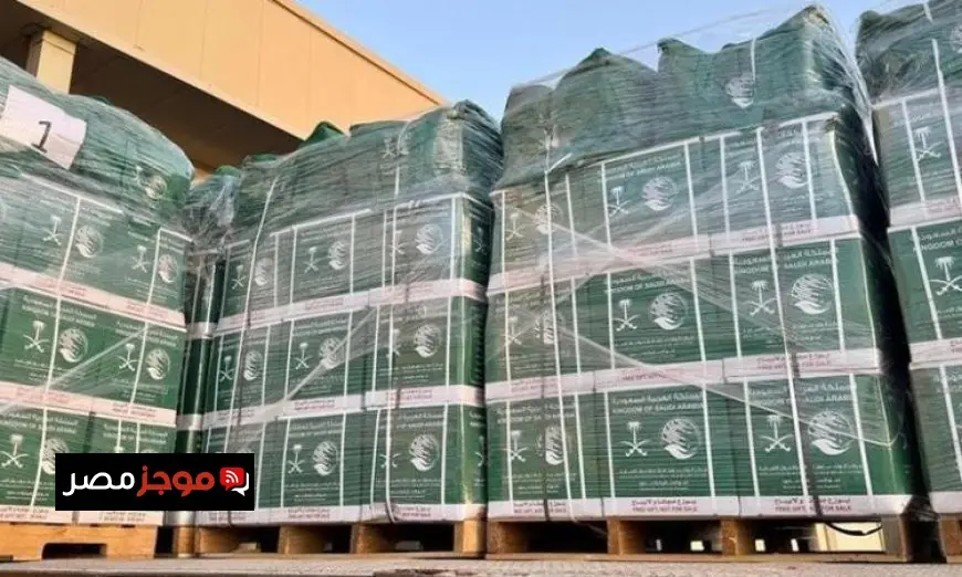 وصول الطائرة الإغاثية السعودية رقم 80 إلى مطار العريش لدعم الشعب الفلسطيني في غزة