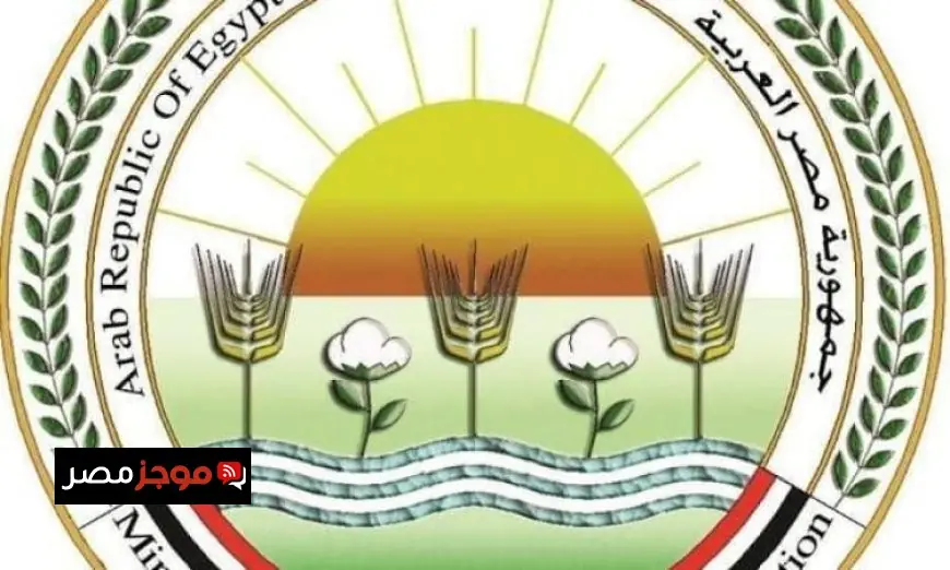 نفي وزارة الزراعة رصد جراد صحراوي في بئر العبد بسيناء