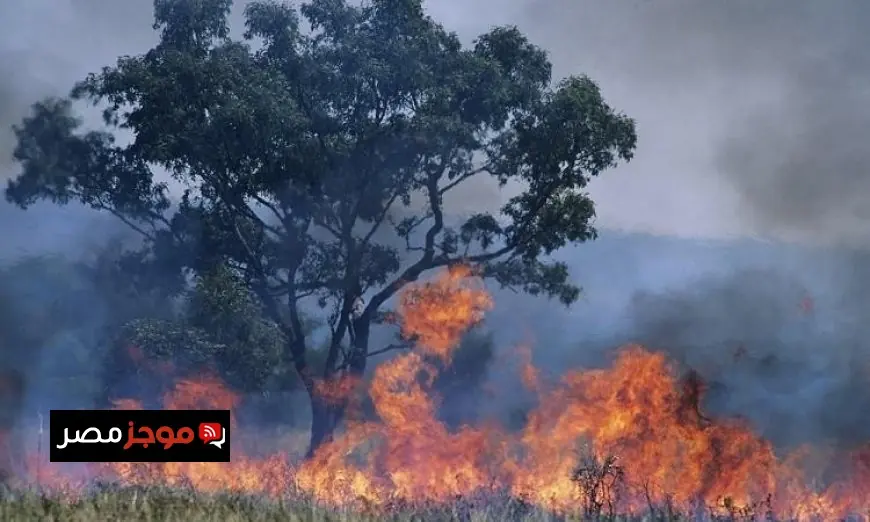 إجلاء مئات السكان في أستراليا نتيجة حرائق الغابات المدمرة في الجنوب والشرق