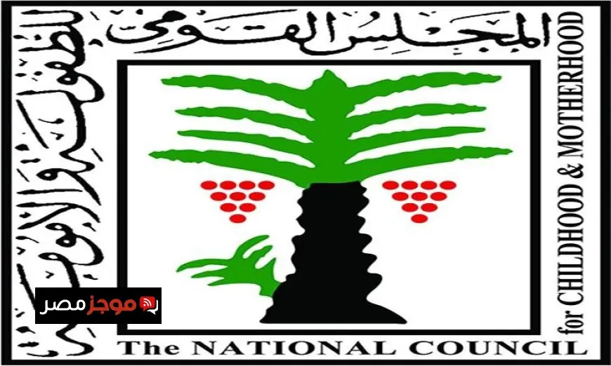 حماية الأطفال في الفضاء الرقمي أولوية وطنية بحسب القومي للطفولة