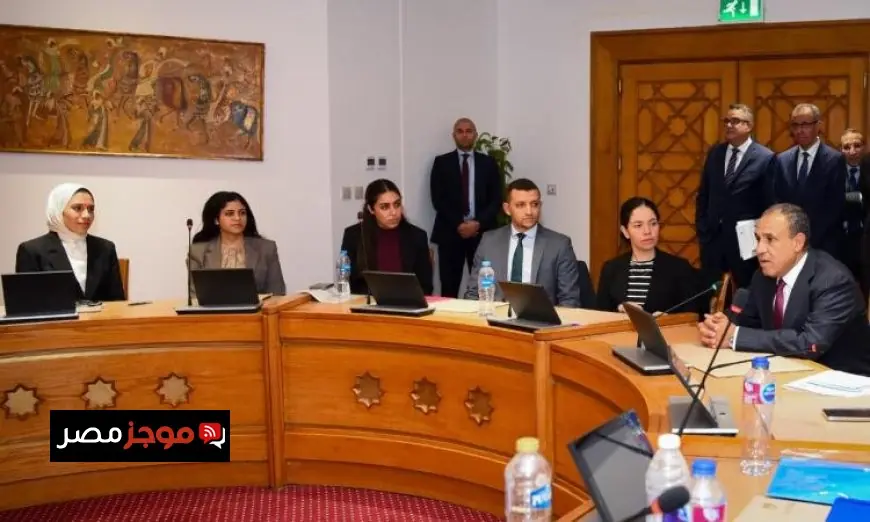 عبد العاطي يؤكد أهمية الكفاءة المهنية العالية للدبلوماسي المصري