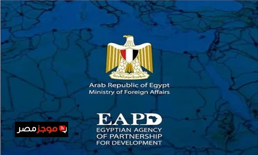 الوكالة المصرية للشراكة تنظم الورشة الـ15 للجراحات المتقدمة في بنجلاديش لتعزيز التعاون الطبي