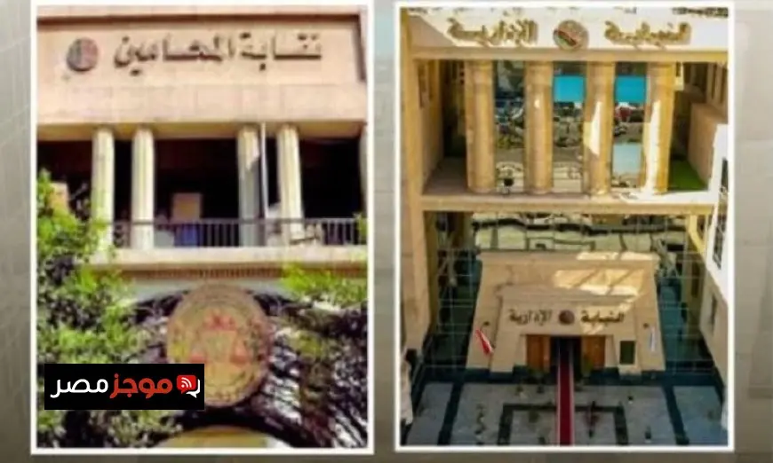 النيابة الإدارية تبدأ الإشراف على المرحلة الثانية من انتخابات نقابات المحامين الفرعية