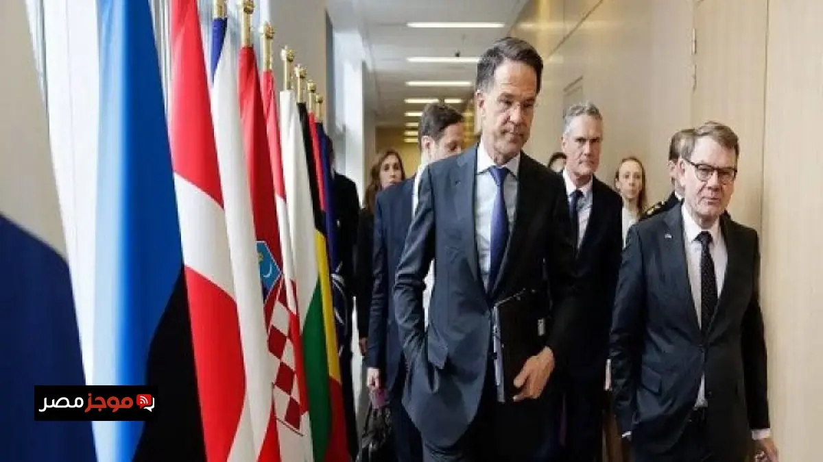 الناتو يبدأ المرحلة البحرية لمناورات ستيدفاست دارت 2026 في قاعدة روتا الإسبانية