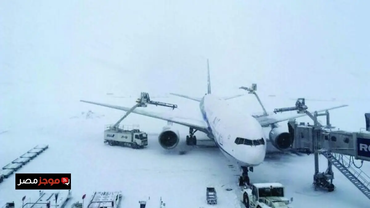 كوريا الجنوبية تلغي 163 رحلة جوية في مطار جيجو الدولي بسبب العواصف الثلجية القاسية