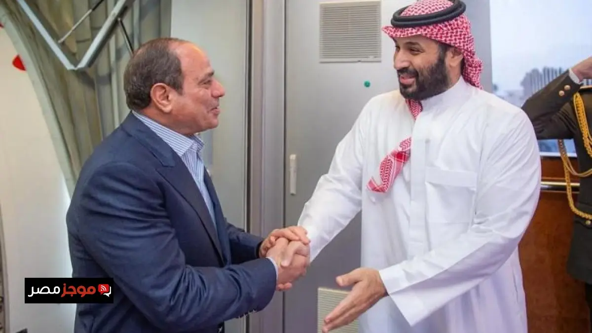 السيسي وولي العهد السعودي يدعمان ضرورة تخفيف التوترات في المنطقة