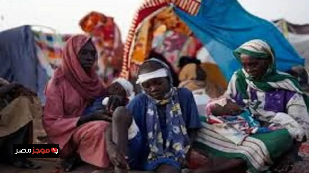 وزراء خارجية أوروبا يحذرون من عنف قوات الدعم السريع في الفاشر ويعتبرونه جرائم حرب