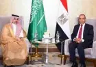 وزير الخارجية المصري والسعودي يؤكدان ضرورة احتواء التوترات ومنع التصعيد في المنطقة