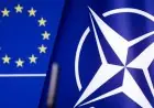 الناتو ينبه من استخدام قضايا النوع الاجتماعي كأداة في النزاعات والحروب الحديثة