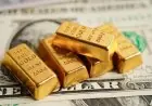 سعر الذهب يتجاوز 5000 دولار للأونصة مع عودة شهية المخاطرة في الأسواق المالية