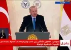أردوغان يؤكد أهمية التعاون بين مصر وتركيا في مواجهة التحديات العالمية