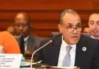 وزير الخارجية يؤكد التزام مصر القوي في دعم جهود استرداد التراث الإفريقي